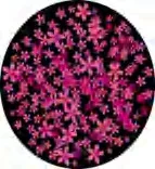 Gobo 1002