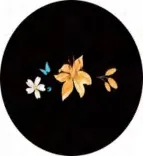 Gobo 1010