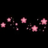 Gobo 1023