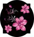Gobo 1029