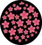 Gobo 1037