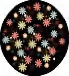 Gobo 1038