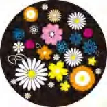 Gobo 1043