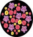Gobo 1044