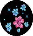 Gobo 1055