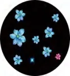 Gobo 1058