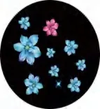 Gobo 1061