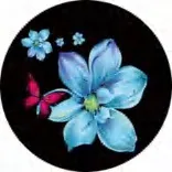 Gobo 1063