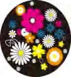 Gobo 1069
