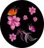 Gobo 1071