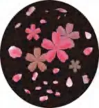 Gobo 1081