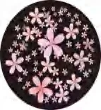 Gobo 1084