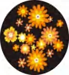 Gobo 1087