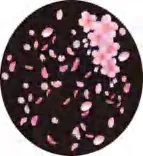 Gobo 1090