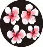 Gobo 1097