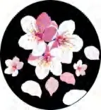 Gobo 1100