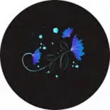 Gobo 1113