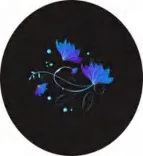 Gobo 1114