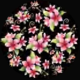 Gobo 1143