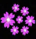Gobo 1155
