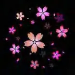 Gobo 1163