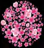 Gobo 1165