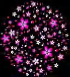 Gobo 1167