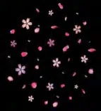 Gobo 1171