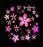 Gobo 1175
