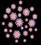 Gobo 1177