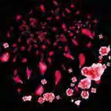 Gobo 1183