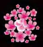 Gobo 1194