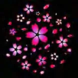 Gobo 1195