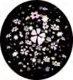 Gobo 1204
