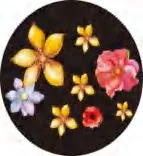 Gobo 1208