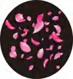 Gobo 1222
