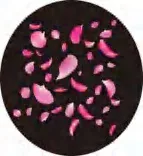 Gobo 1223