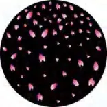 Gobo 1237