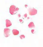 Gobo 1244