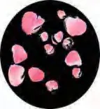 Gobo 1245