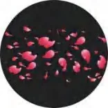 Gobo 1248