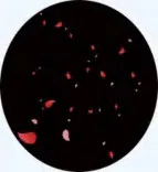 Gobo 1252