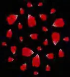 Gobo 1256