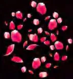 Gobo 1262