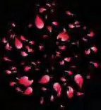 Gobo 1270