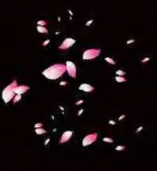 Gobo 1275
