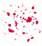 Gobo 1280