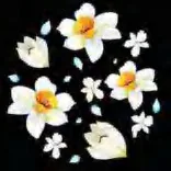 Gobo 1284