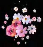 Gobo 1285