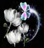 Gobo 1289